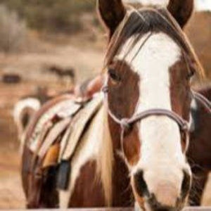 Meet your Posher, Cayterina